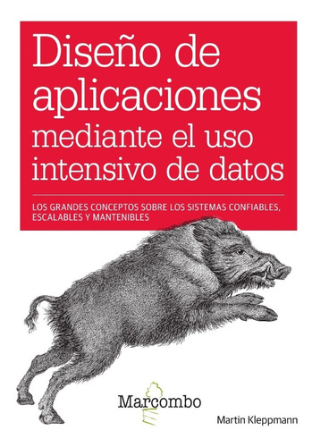 Libro Diseño De Aplicaciones Mediante Uso Intensivo De Datos