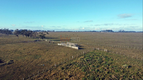Venta Campo Rocha 224 Has Ruta 10 Y 15