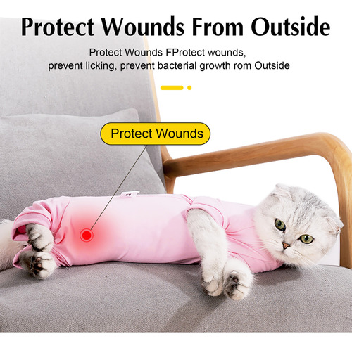 Traje De Recuperación Para Gatos Para Heridas Abdominales Y