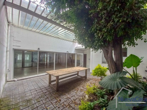 Imagen 10 de 30 de Ingenieros, 380m2, 2 Niveles, Uso Para Oficinas