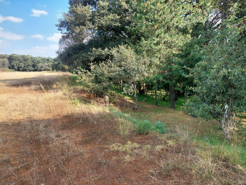 Terreno En Jilotzingo
