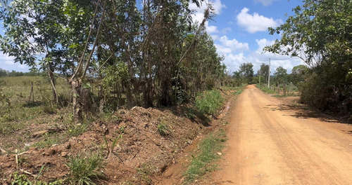100 Tareas En Venta En Monte Plata