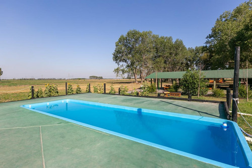 Imagen 20 de 30 de Oportunidad De Chacra Más Campo -18ha - En Virrey Del Pino