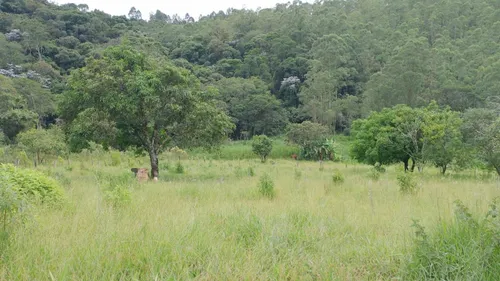 Terreno Na Rota Do Vinho Em São Roque