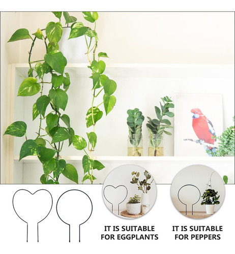 Soporte Para Flores De Vid, 2 Unidades, Marco Para Plantas,