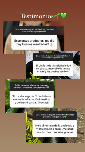 Tintura Madre Vías Urinarias. Cistitis, Infecciones. 60ml.