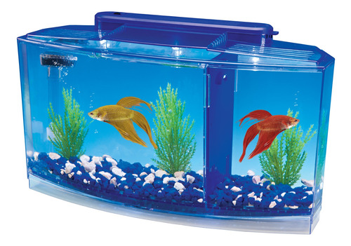 Acuario Triple Para Pez Betta Penn Plax