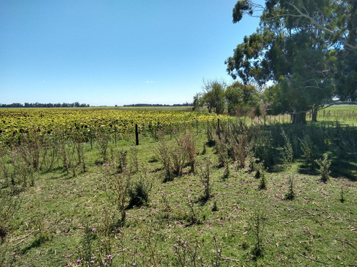 Imagen 19 de 30 de Latorre Prop Vende Campo De 34 Hectareas En Cobo
