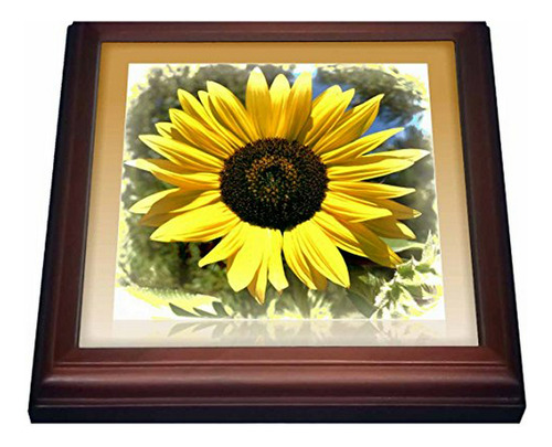 Trivet Girasol Amarillo , 8 X8 