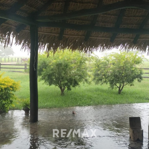 Imagen 3 de 14 de En Venta Finca Productiva En Dos Caminos Guárico