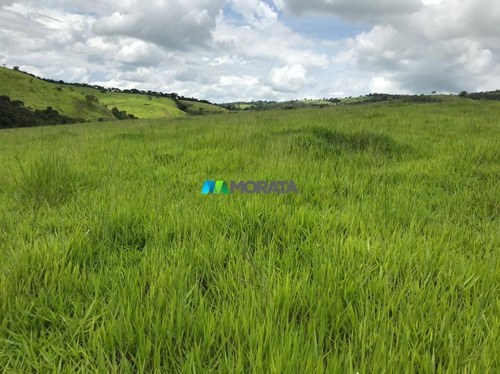 Imagem 6 de 15 de Fazenda - Zona Rural - Ref: 5020 - V-mta5020