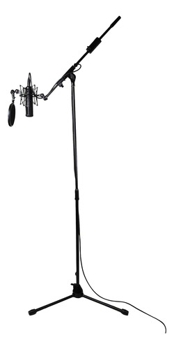 Soporte Para Microfono Tascam Tm-am1 TriPod Boom Con Cont...