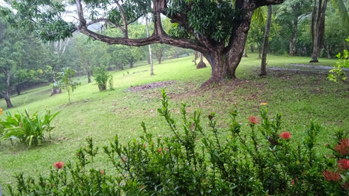 Se Vende Propiedad Rural Con Casa - For Sale House & Property Orotina