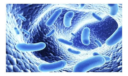 Bcuelov Urinary Tract Support Cuidado Infecciones Urinarias