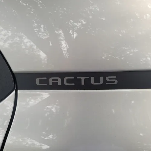 Citroën C4 Cactus 1.6 Shine Turbo Aut