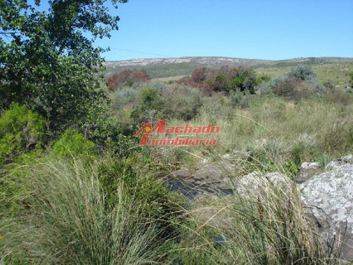 Imagen 7 de 17 de Campo 96 Has En Carape Cuenta Con Costa De Arroyo.