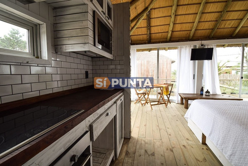Imagen 16 de 30 de Disfrutar Del Placer De Punta Del Este Aquí