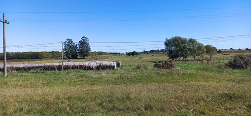 Venta Sauce Ruta 6 Km 44 , 8 Hectáreas, Tajamar