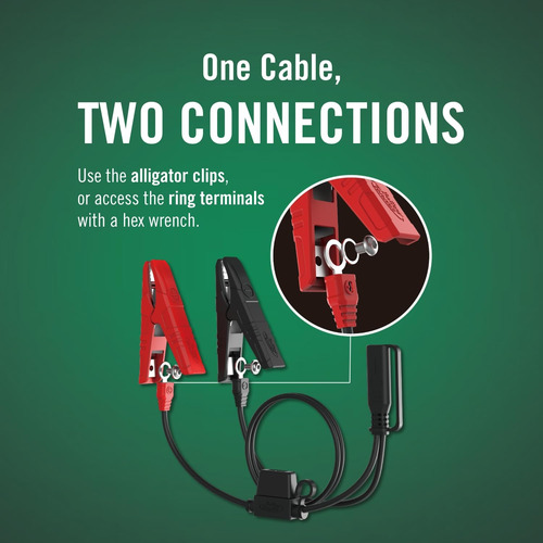 Cargador De Batería Seleccionable 6v 12v Amp Plus