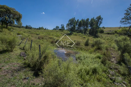 Chacra En Venta En Minas