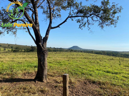 Imagem 2 de 15 de Fazenda À Venda Em Camapuã - Ms - 187 Hec (dupa Aptidão) - 1939