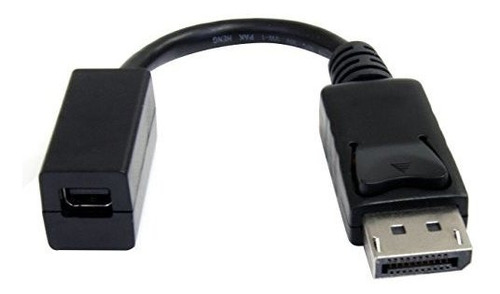 Startech 6in Displayport A Mini Displayport Video Cable Adap