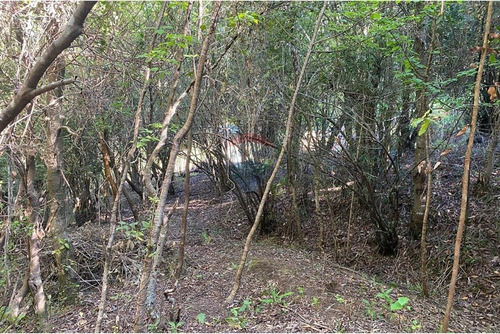 Parcela A Orillas De Río Trancura, Pucón
