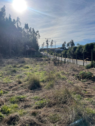 Tres Sitios Urbanos Camino Dolores Jeria Navidad A Matanzas