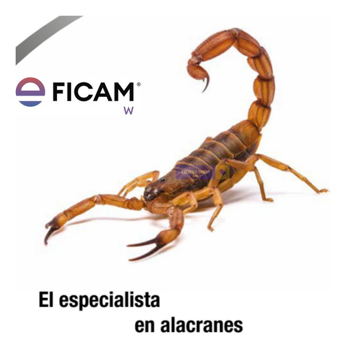 Veneno Para Alacranes Cucarachas Arañas Bayer Insecticida