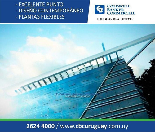 Oficina Avenida De Las Américas Alquiler