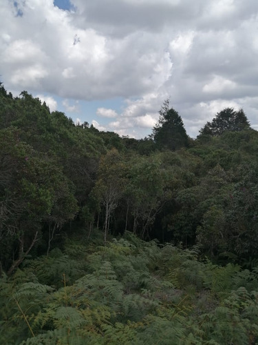 Vendo Lote En Guarne Cerca Al Parque Arvì