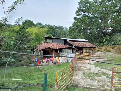 Se Vende Finca Córdoba Quindío 