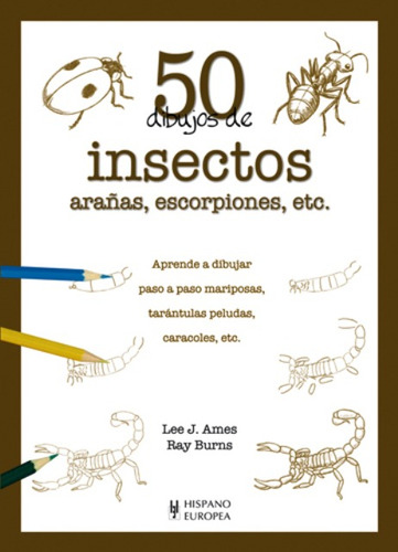 Insectos , Arañas , Escorpiones , Etc. 50 Dibujos De