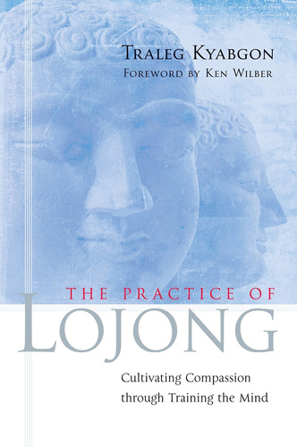 Libro The Practice Of Lojong: Cultivating Compassion Throu