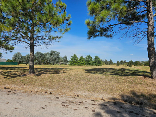 Lote Terreno 189 En Venta. Everlinks Golf & Country Club. Lujan