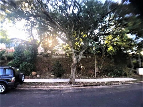 Imagem 1 de 4 de Terreno À Venda Em Loteamento Caminhos De San Conrado - Te013574