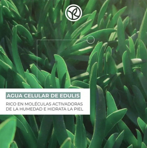 Set Hydra Vegetal Yves Rocher Tratamiento Facial Hidratante