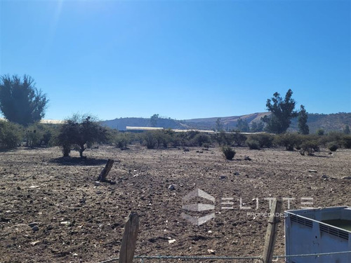Imagen 10 de 29 de Industrial En Venta En Casablanca