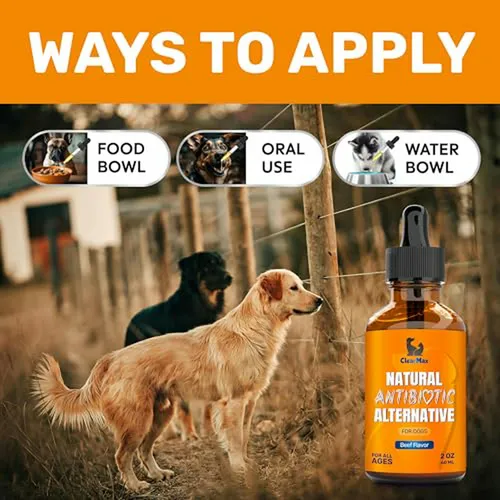 Antibiótico Para Perros Con Sabor A Carne 2 Oz