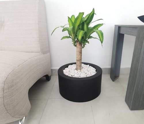 Imagen 1 de 7 de Maceta Minimalista Cilindro Mejor Que Fibra De Vidrio .93