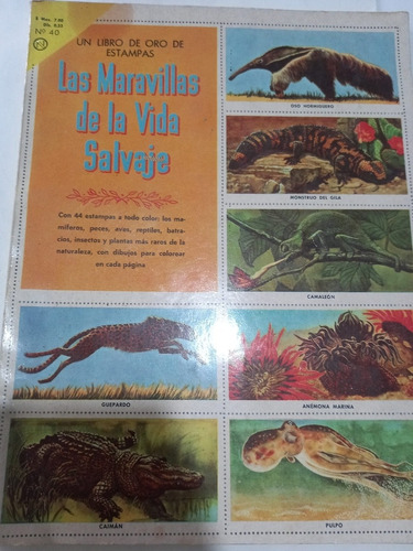 Álbum Libro De Oro #40 Las Maravillas De La Vida Salvaje (Usado)