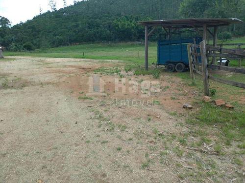 Imagem 5 de 7 de Chácara À Venda Em Canelinha/sc - 1025c