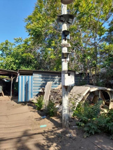 Mapocho (73980)