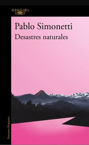 Desastres Naturales Pablo Simonetti 