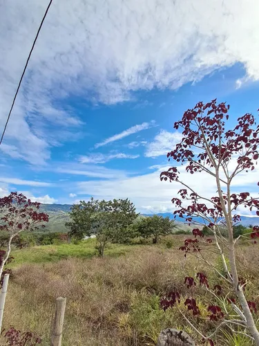 Finca En Restrepo Valle