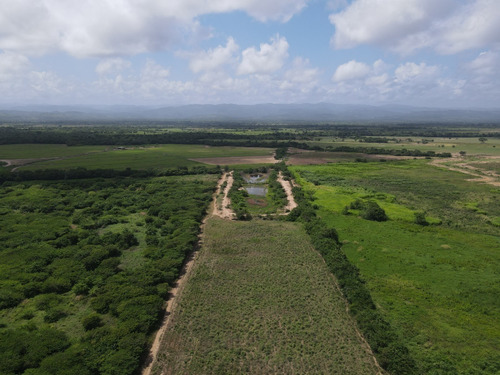 Imagen 24 de 30 de Finca En Venta Aguadagrande, Siquisique Cod. 23-7859