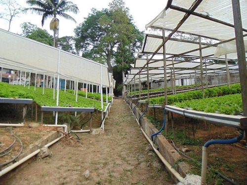 Chácara Com 3 Dormitórios À Venda, 1955 M² Por R$ 525.000,00 - São Lourenço Da Serra - São Lourenço Da Serra/sp - Ch0011