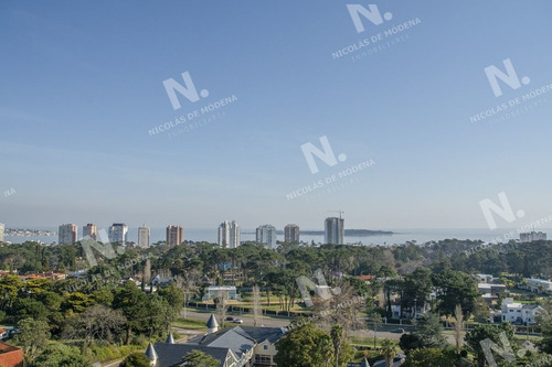 Imagen 6 de 19 de Espectacular Apartamento En El Corazón De Punta Del Este - Punta Del Este Roosevelt