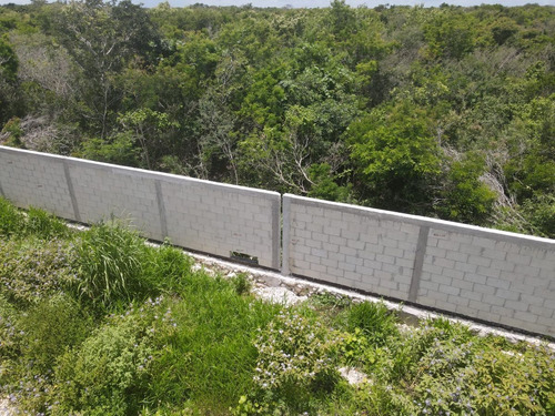 Imagen 20 de 21 de Terreno En Venta En Yucatan A 6 Minutos De La Playa Sn Crisa