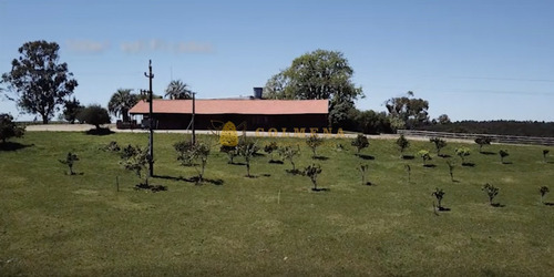 Estancia De 38 Has Con Salon De Fiestas, Cuenta Con Suelo Óptimo Para Plantación De Olivos Y Vid. Consulte!!!!!!!!- Ref: 2417